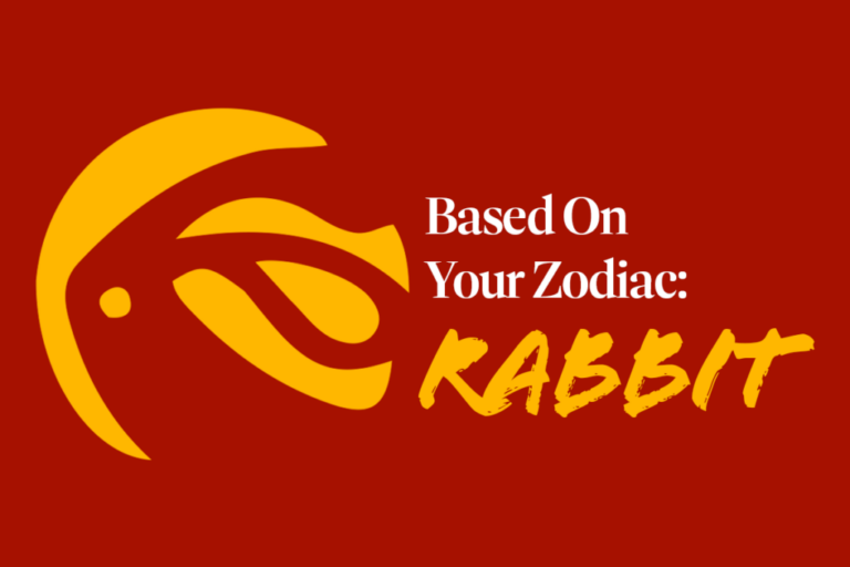 The Rabbit in 2025 The Year of Wood Snake Novelship News
